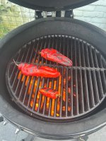 IMG_3699.jpeg