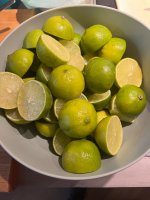 IMG_6322.jpeg