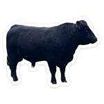 1749391153966.png
