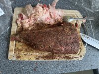 IMG_1600.jpg