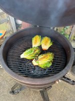 IMG_0184.jpeg