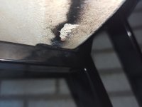 IMG_20250615_110053.jpg