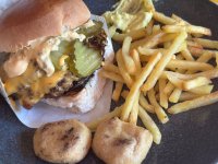 IMG_4270.jpeg