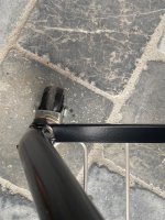 IMG_5197.jpeg