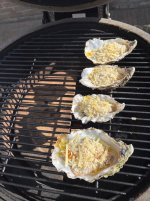 IMG_1436.jpeg