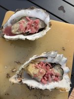 IMG_1438.jpeg