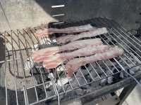 IMG_6265.jpeg