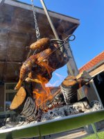 IMG_2893.jpeg