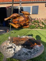 IMG_2895.jpeg
