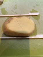 IMG_6943.jpeg