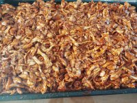 2026-02-07 14.41.53.jpg