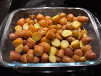 IMG_5710.jpeg