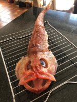 IMG_4680.jpeg