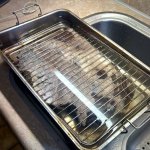 IMG_8601.jpeg