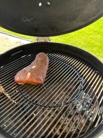 IMG_7540.jpeg
