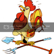 de haan